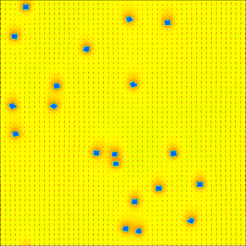 DenFlow2D