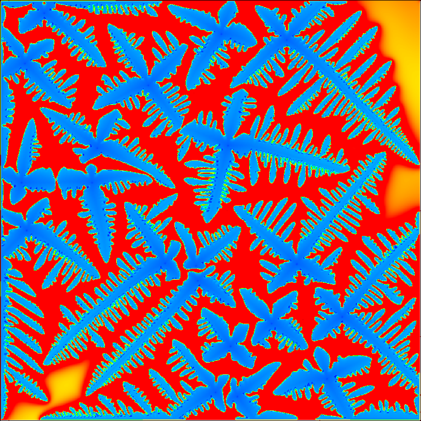 DenFlow2D